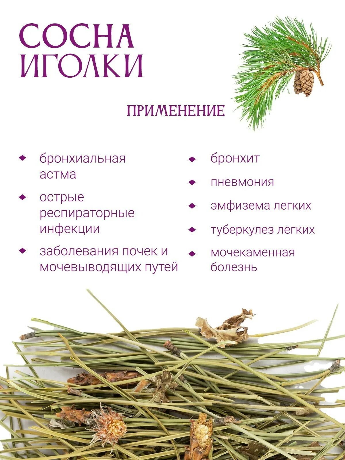 Пыльца сосны. Отвар хвои сосны. Сосна обыкновенная лекарственное растение. Полезные свойства сосны. Характеристика сосны.