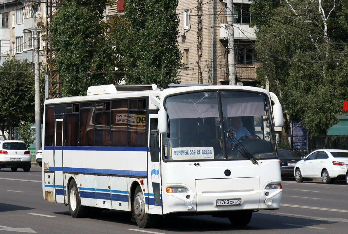 Автобус старый Оскол Воронеж. Старые автобусы Воронежа. Автобус 55 Воронеж. 559 Маршрут. Ростов старый оскол автобус