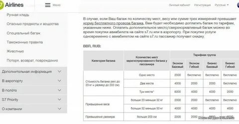 Ручная кладь в поезде