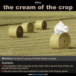 Crop перевод