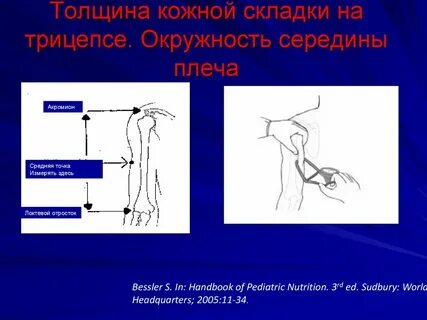 Середина плеча
