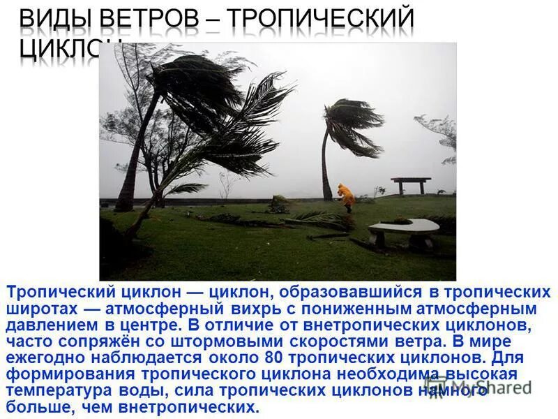 Wind types