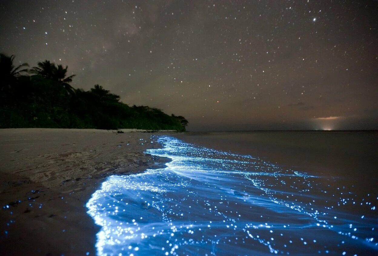 Ваадху Мальдивы. Атолл Ваадху Мальдивы. Остров Ваадху (Vaadhoo Island), Мальдивские острова. Остров Ваадху, Мальдивы. Планктон. Море которое светится