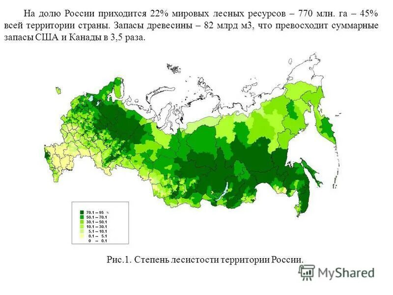 Площадь тайги в россии в процентах