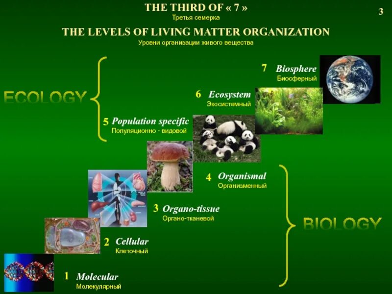 Презентации уровни организации. Уровни организации живой материи организменный уровень. Уровни организации вещества биология. Перечислите молекулярные уровни организации живой клетки.. Уровни организации живого биосферный уровень.