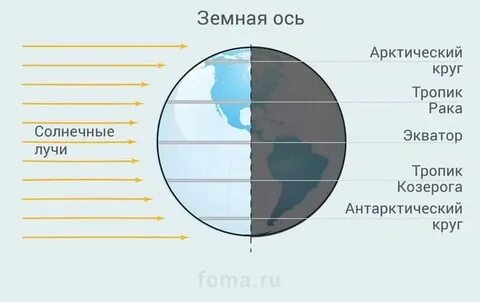 Линии тропиков и полярных кругов являются