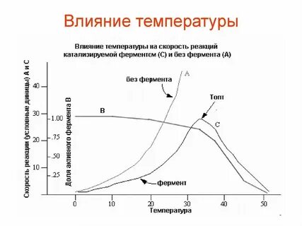 Влияние температуры на размеры