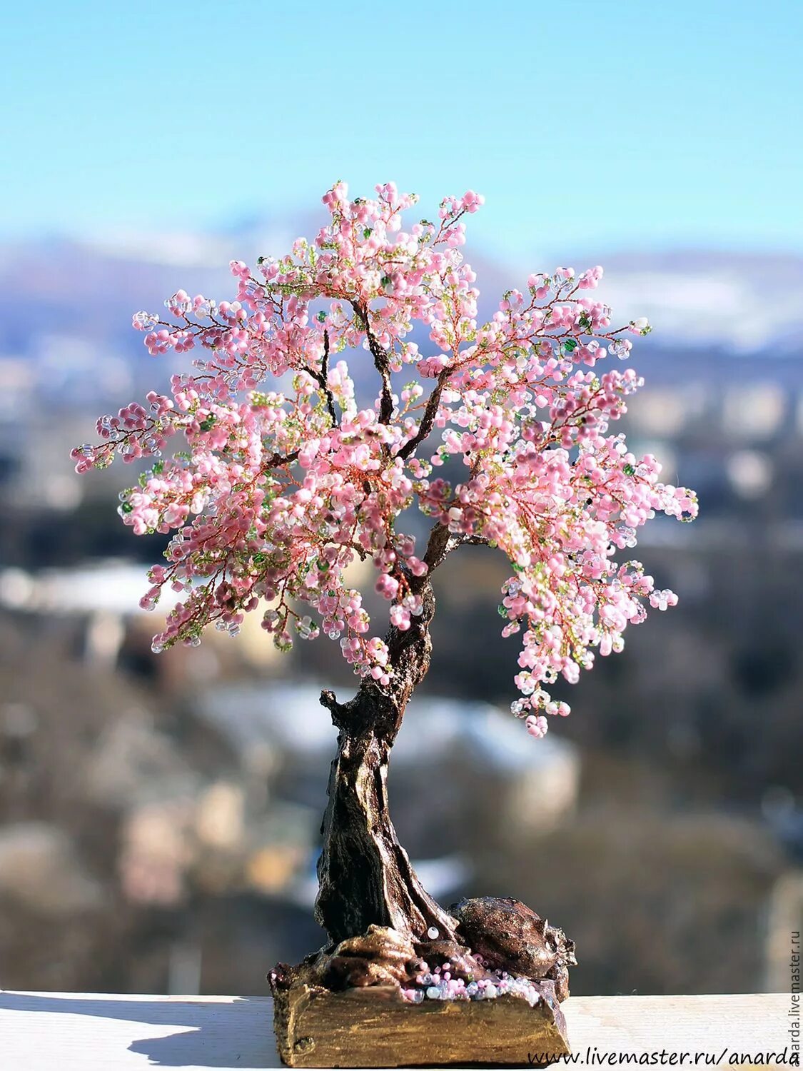 Cherry blossom купить. Сакура Тайхаку. Бонсай Сакура. Бонсай Сакура Япония. Сакура Розанна.