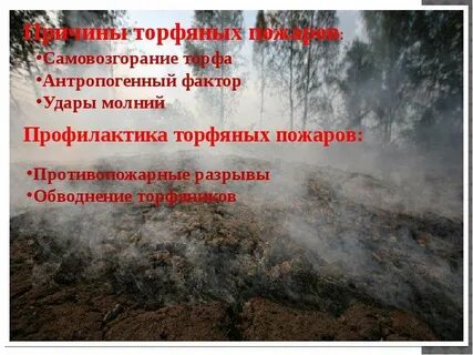 Лесные и торфяные пожары причины