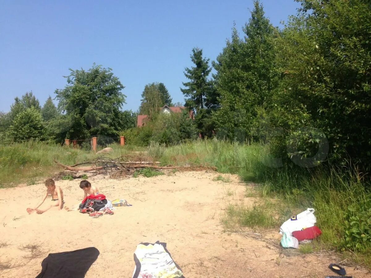 Погода в большом бору ленинградской. Погода в большом бору ленинградской. Пляж большой бор выборг. Поселок большой бор ленинградская область. Пляж большой бор выборг.