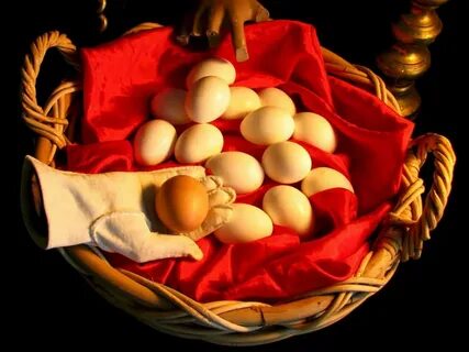 Eggs some chicken