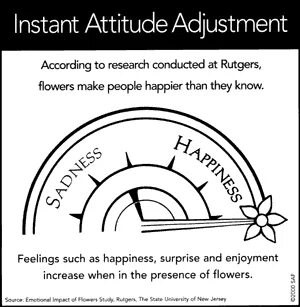 Attitude adjustment
