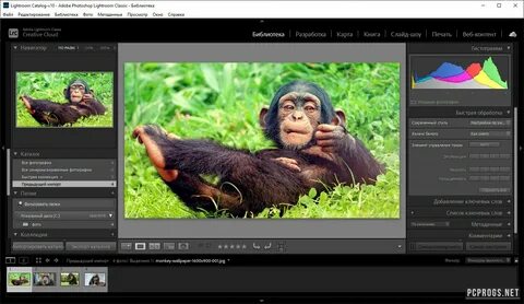 Adobe lightroom 2024