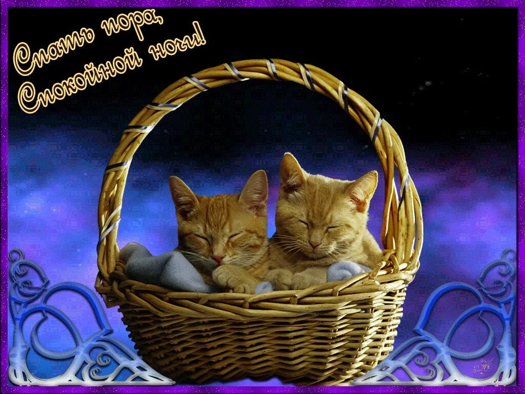 Красивая открытка приятного сна. Открытки спокойной ночи. Доброй ночи сладких снов. Анимация спокойной ночи сладких снов. Доброй ночи котик.