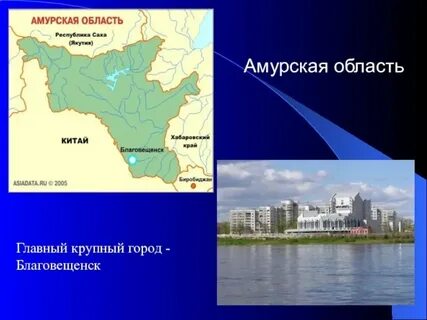Сети город амурская область