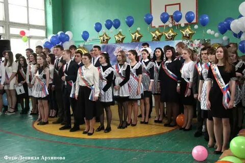 Сайт 48 курган