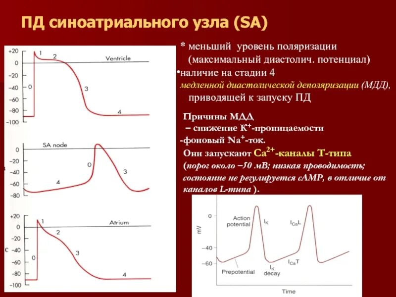 Уровень поляризации. Степень поляризации плоскополяризованного света. Естественный и поляризованный свет закон брюстера. Уровень поляризации. Поляризация света при отражении и преломлении.