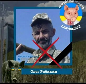 Скотоложец