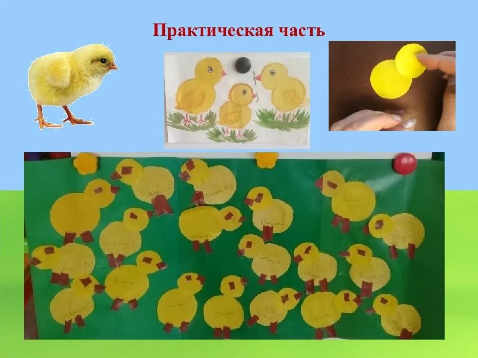 Аппликация цыплята на лугу 2 младшая. Аппликация цыплята на лугу во второй младшей группе. Аппликация цыпленок во второй младшей группе. Аппликация цыплята 2 младшая группа. Аппликация цыплята 2 младшая группа.
