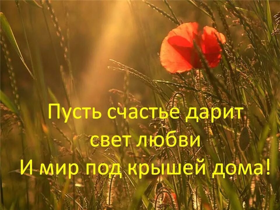 Желаю всем любви радости надежды. Пусть счастье дарит свет любви и мир под крышей дома. пожелания счастья и добра. счастье в каждом дне. пожелания добра и спокойствия.