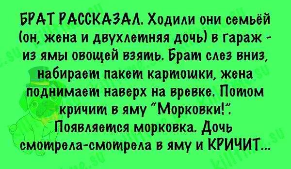 Прочитать рассказы про жизнь. Смешные истории. Весёлые истории из жизни. Смешные истории смешные истории. Смешные рассказы из жизни.