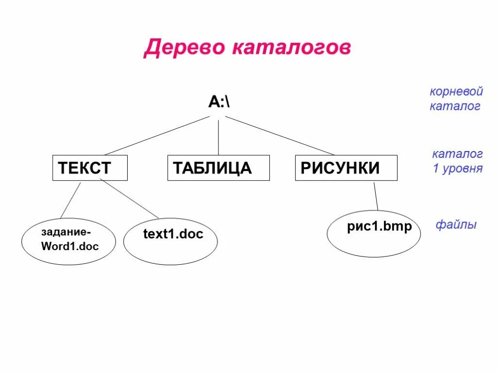 Каталоги 1 уровня. Дерево каталогов. Каталог первого уровня. Каталог 1 уровня. Корневой каталог.