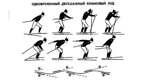 Правильно на лыжах коньковым ходом