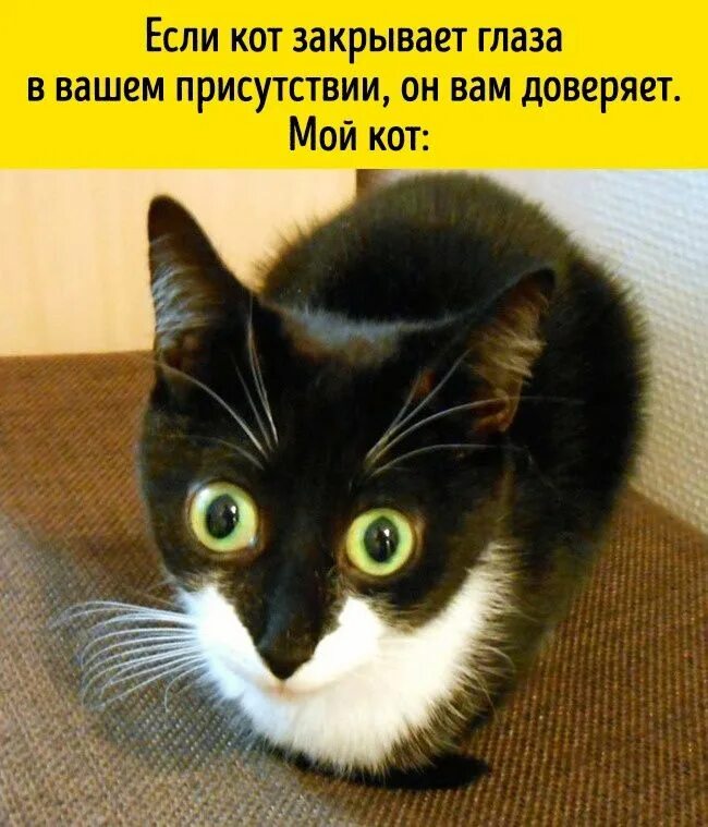 И тут он закрывает глаз