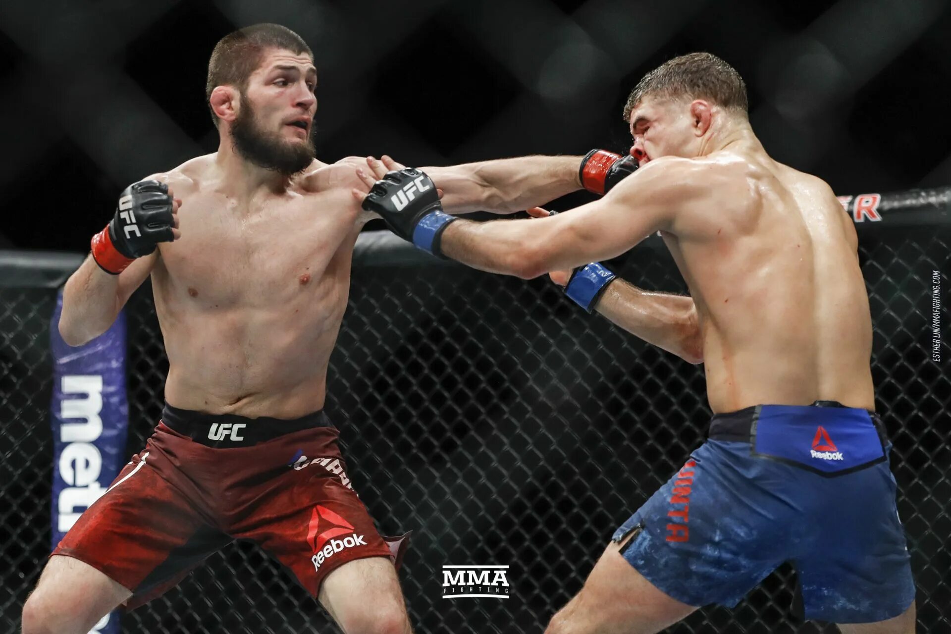 Нурмагомедов сколько поражений. UFC Khabib.