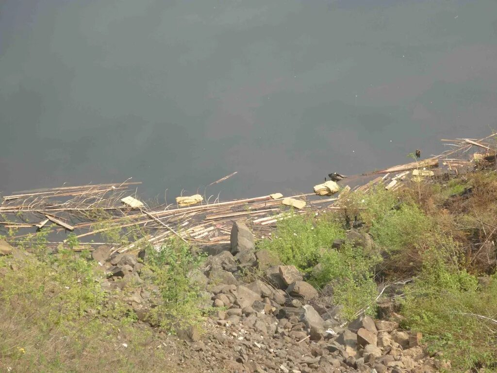 Переработка берегов водохранилищ. Богучанское водохранилище. Невон Богучанское водохранилище. Филиал Богучанское водохранилище.