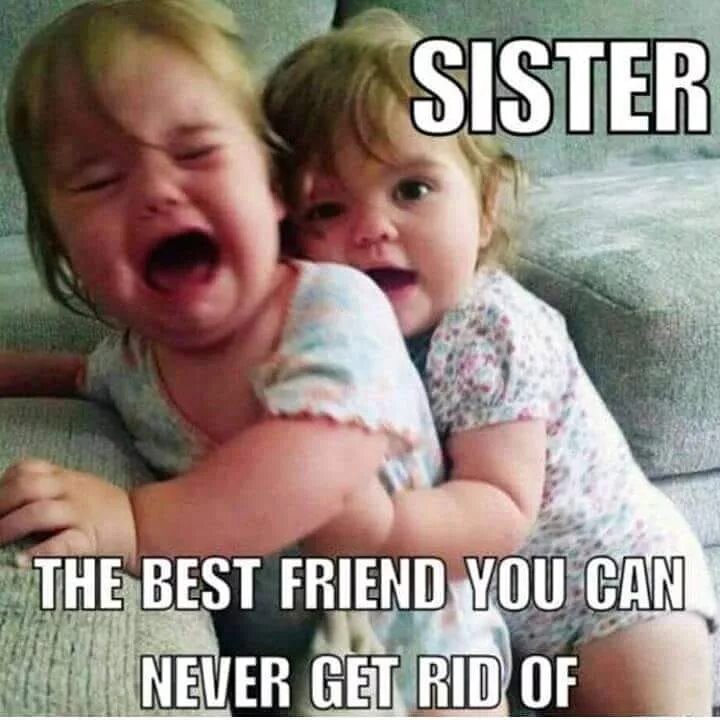 Смешные сестры. На канале funny sisters. Siblings картинка с чувством юмора. Funny sister