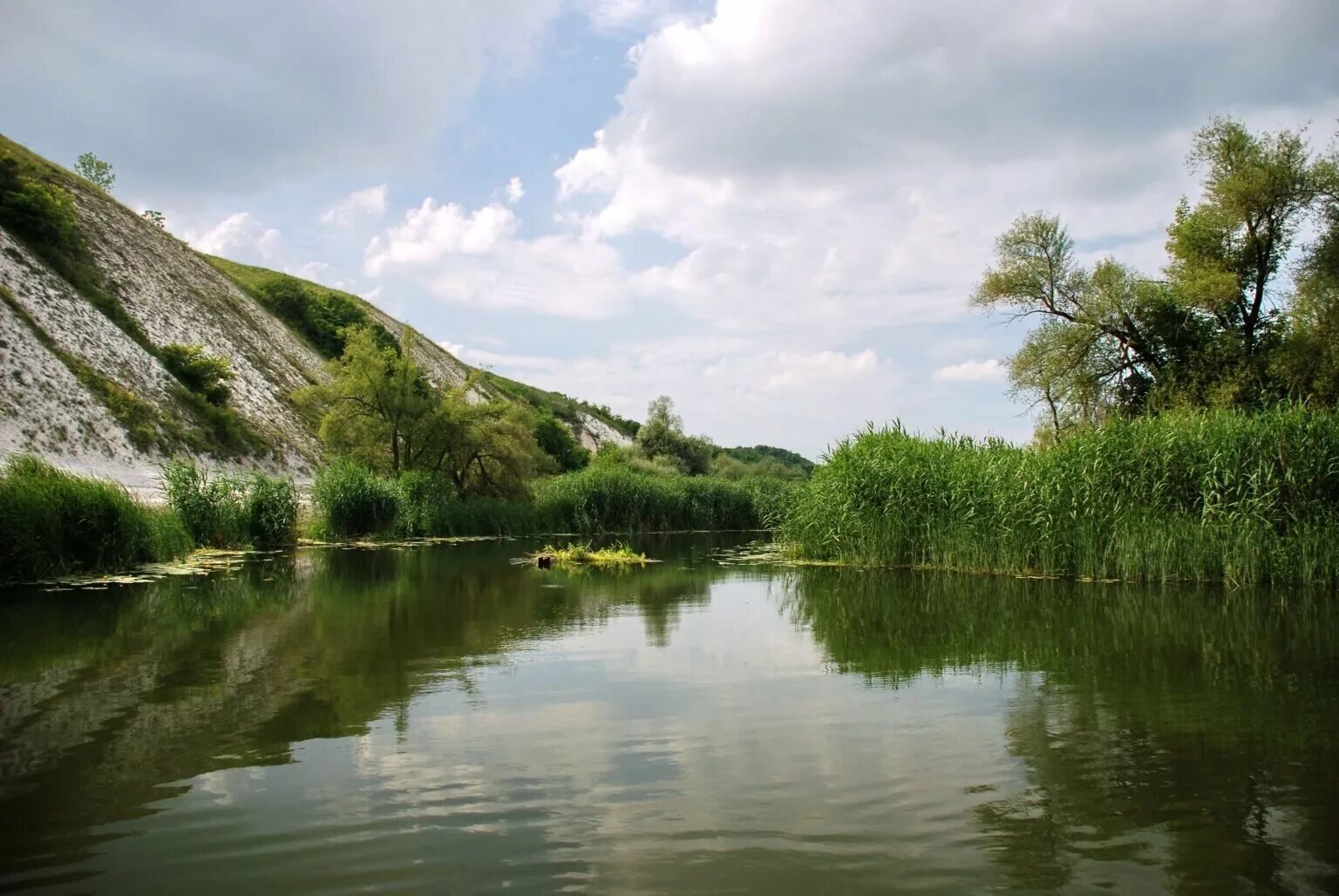 Донец белгородская область