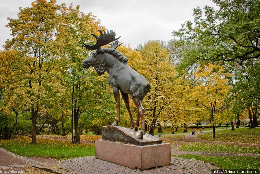 Ленин лось. Памятник лосю в Выборге. Лось (скульптура, Выборг). Статуя лося в Выборге. Парк в Выборге с лосем.