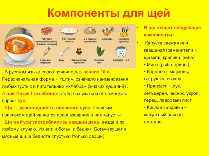 Продукты для приготовления щей. Продукты необходимые для щей. Щи состав. Состав щей из свежей капусты.