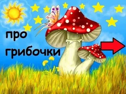 Песня грибочки