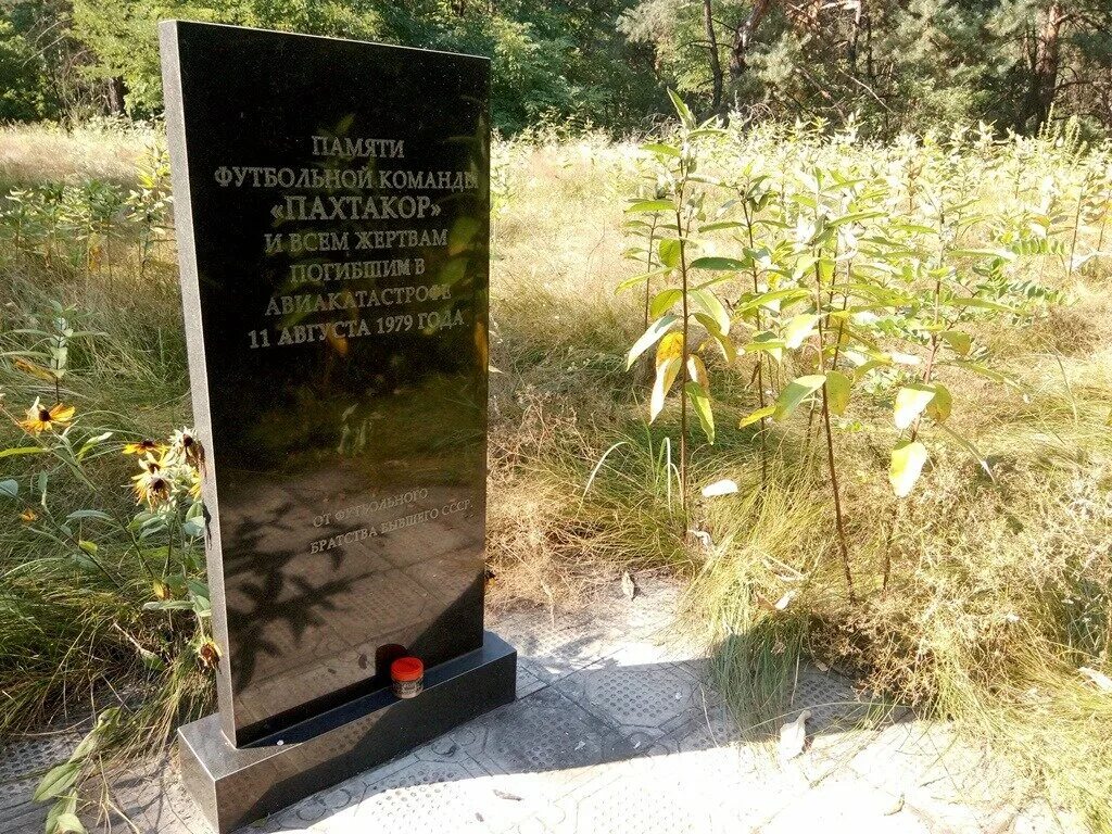 Авиакатастрофа команды пахтакор. Столкновение ту 134 над днепродзержинском. ту 134 пахтакор. пахтакор авиакатастрофа 1979. столкновение над днепродзержинском.