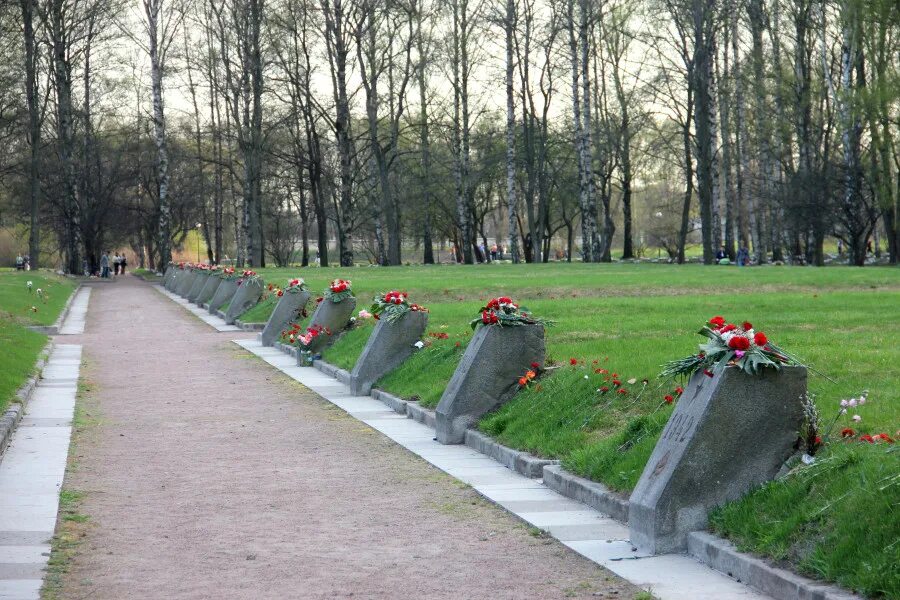 кладбище санкт петербурга блокаде. мемориальный комплекс на пискаревском кладбище. пискаревский мемориал могилы. кладбище санкт петербурга блокаде. проспект непокоренных пискаревское кладбище.