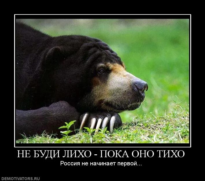 Лихо поговорка. Не буди лихо пока оно. лихо пока оно тихо. не буди лиха, пока оно тихо.. не буди лихо пока оно тихо пословица.