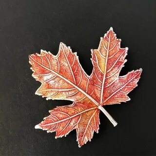 Какой кленовый лист