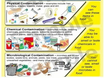 Contamination перевод
