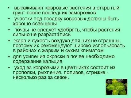 План общей характеристики растений