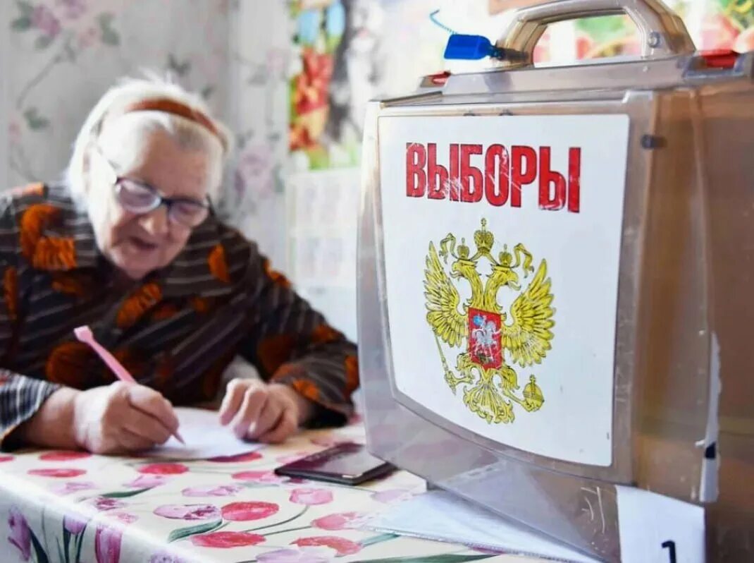 Выборы чего могут быть