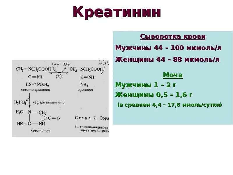 Креатинин 1000