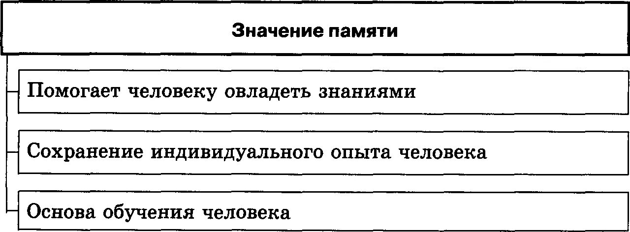 Значение памяти. Значение памяти для человека. Значение памяти в жизни человека. Значение памяти в психологии.