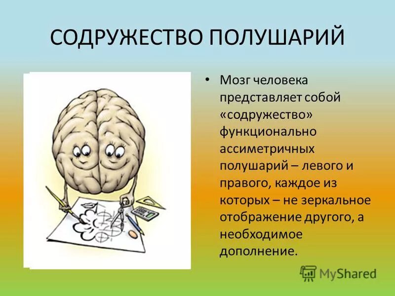 Нарушение полушарий мозга. Полушария мозга. Два полушария мозга. Развитые полушария мозга. Левое полушарие мозга.