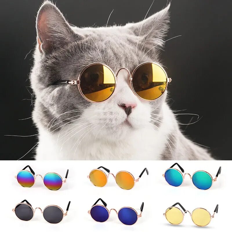 Pet glasses. Очки-кошки. Очки для животных. Очки для собак. Звери и очки.