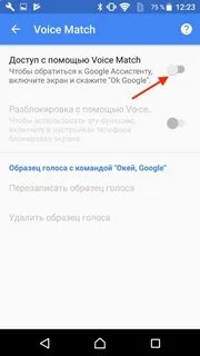 Как убрать voice