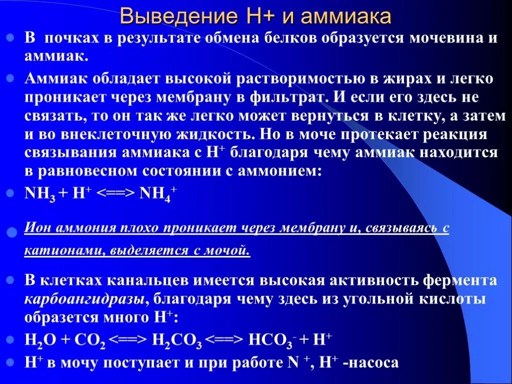 Аммиак можно определить. Выведение аммиака. Выведение мочевины почками. Аммиак в моче причины. Аммиак в почках.