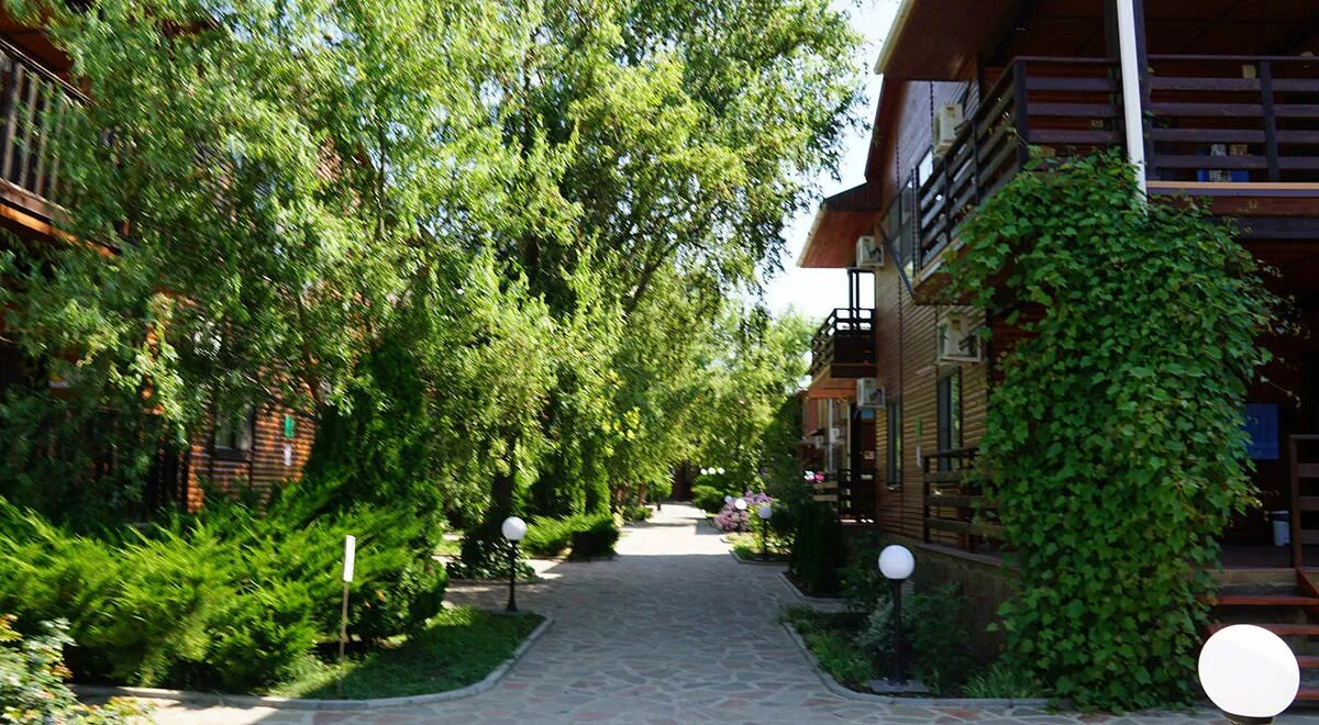 Афалина пионерский просп 114г анапа фото