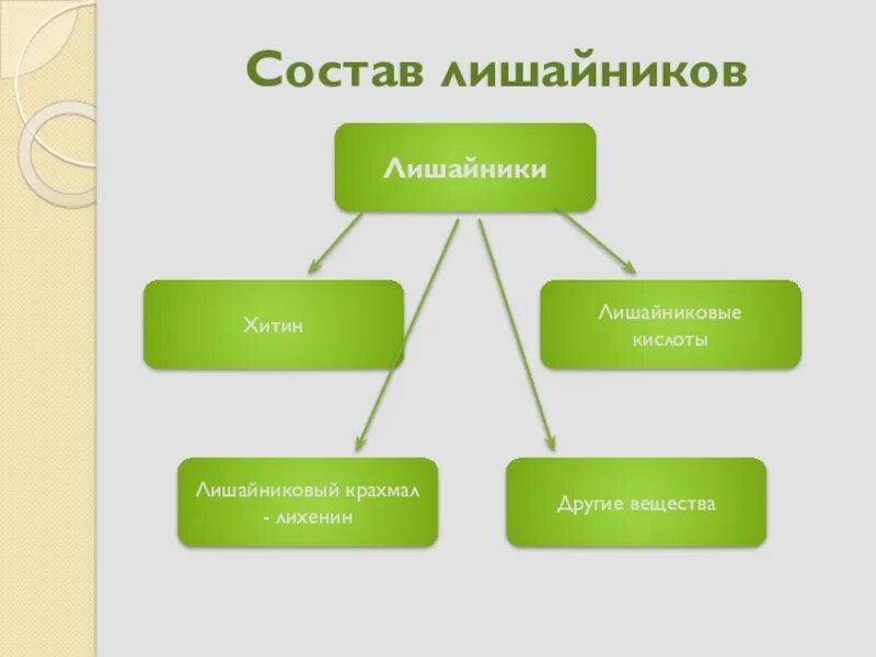 Схема питания лишайника. Водоросли входящие в состав лишайника относятся к группе. Органические вещества лишайника. Строение лишайника микобионт. Гриб в составе лишайника.